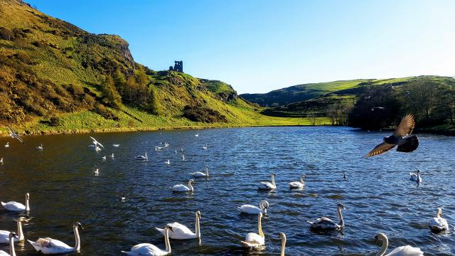 Holyrood Park.