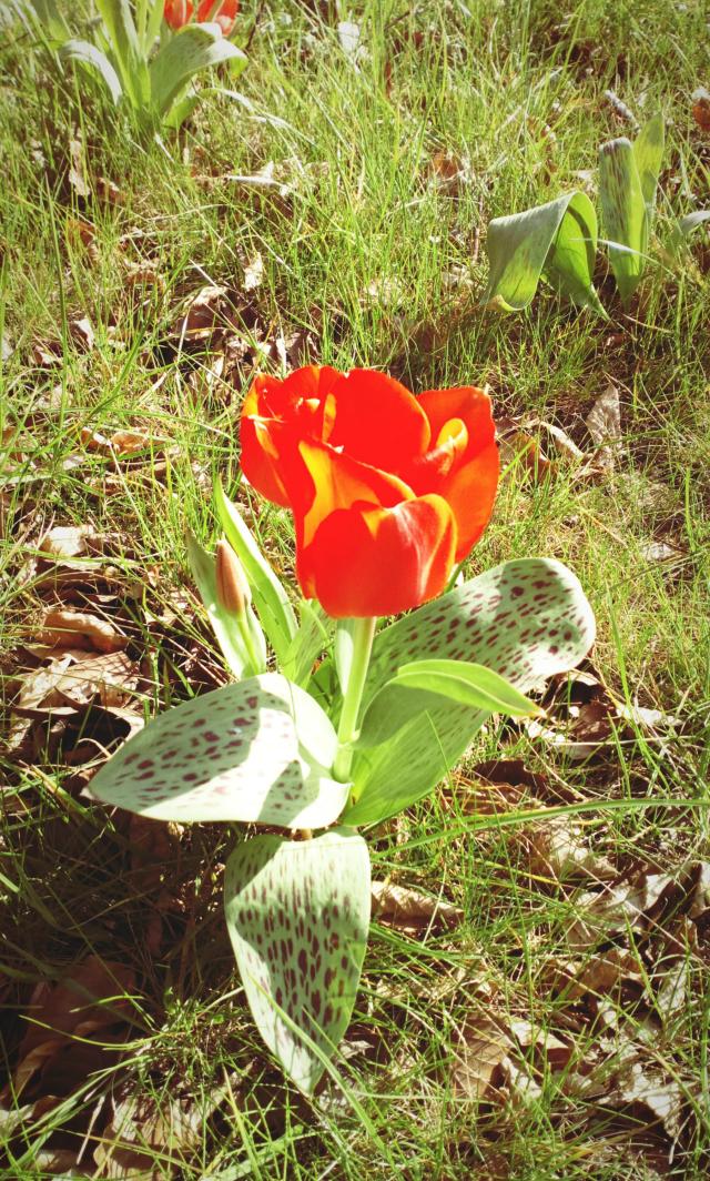 16.04.2020 Wyjcie w masce