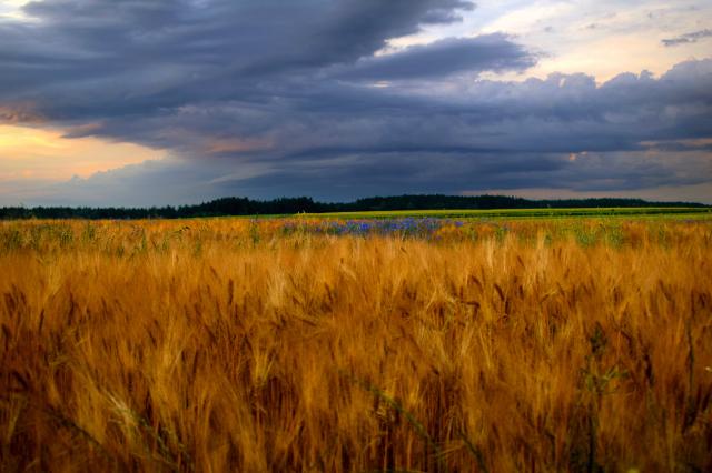 A po tych kach...