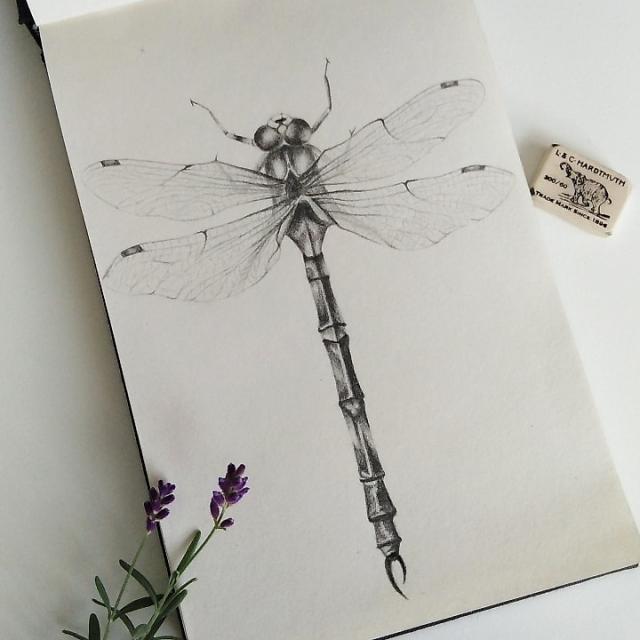 Black dragonfly be me