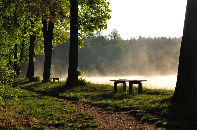 poranek nad zalewem 