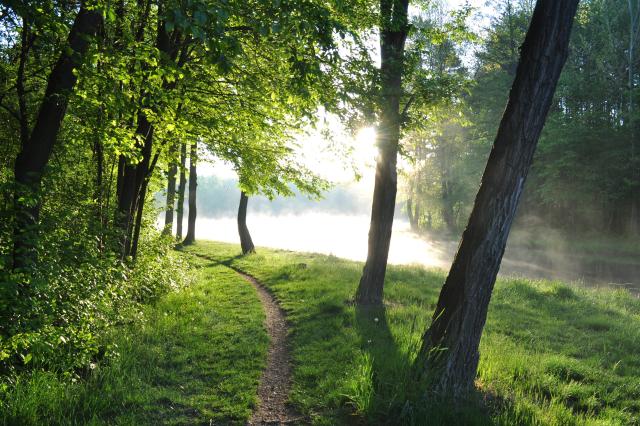 poranek nad zalewem cd.