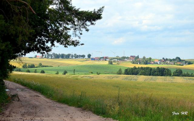Poliksy - lopoec 2020