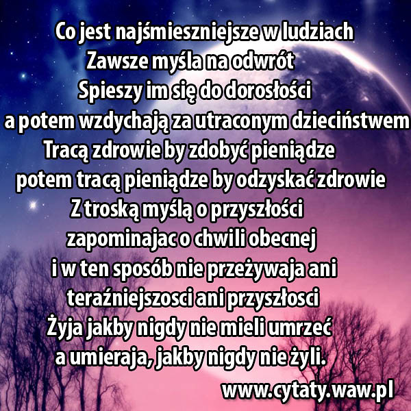 Wpis cytatywawpl