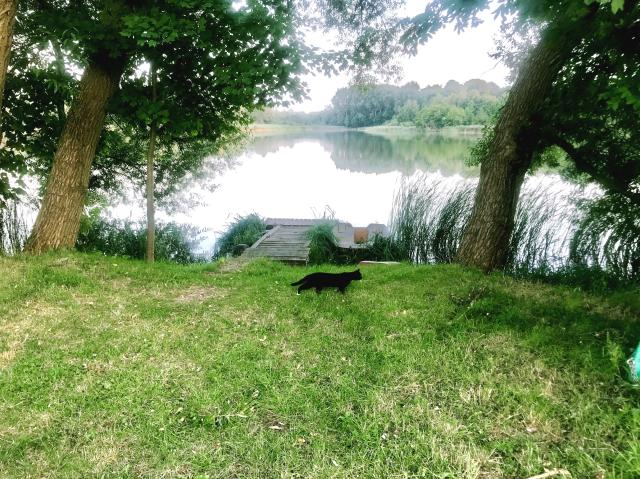 Jeziorko  & Black Kitty Cat 