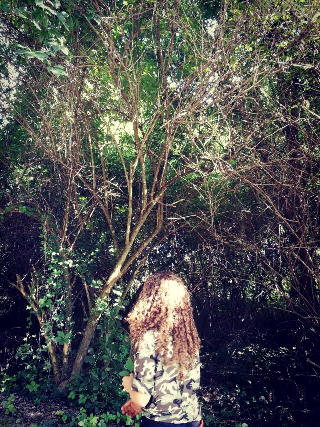 Wpis likewildlife